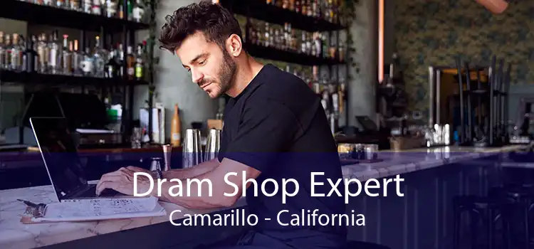 Dram Shop Expert Camarillo - California
