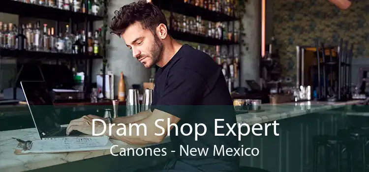 Dram Shop Expert Canones - New Mexico