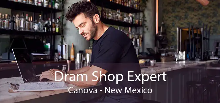 Dram Shop Expert Canova - New Mexico
