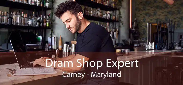 Dram Shop Expert Carney - Maryland