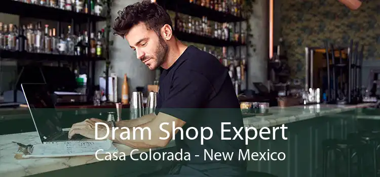 Dram Shop Expert Casa Colorada - New Mexico