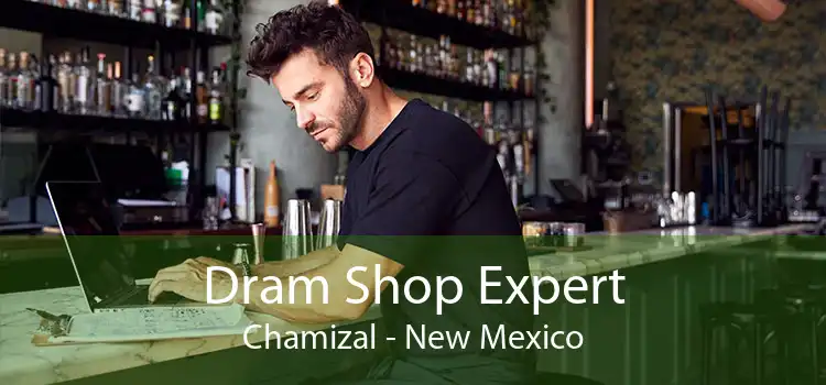 Dram Shop Expert Chamizal - New Mexico