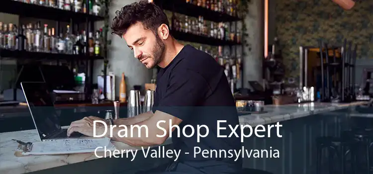 Dram Shop Expert Cherry Valley - Pennsylvania