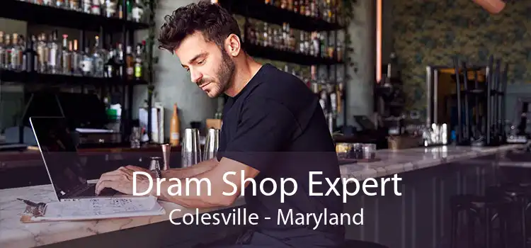 Dram Shop Expert Colesville - Maryland