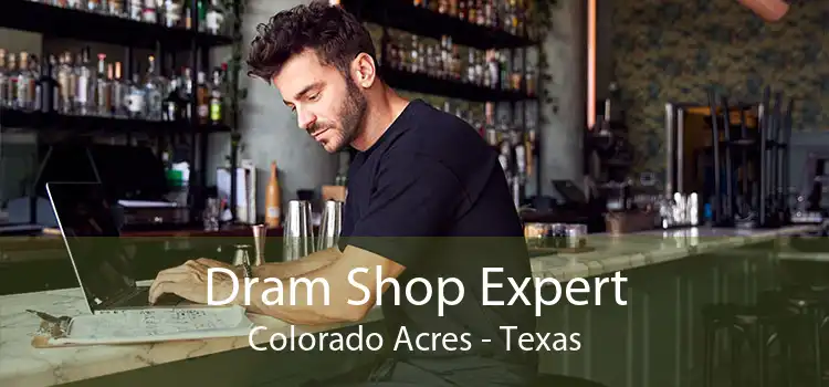 Dram Shop Expert Colorado Acres - Texas