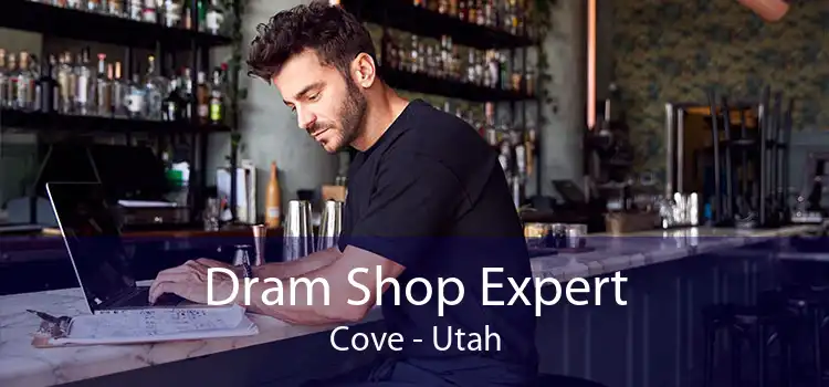 Dram Shop Expert Cove - Utah