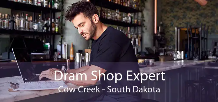 Dram Shop Expert Cow Creek - South Dakota