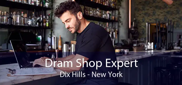 Dram Shop Expert Dix Hills - New York