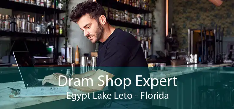 Dram Shop Expert Egypt Lake Leto - Florida