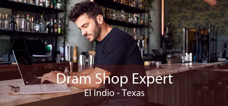 Dram Shop Expert El Indio - Texas