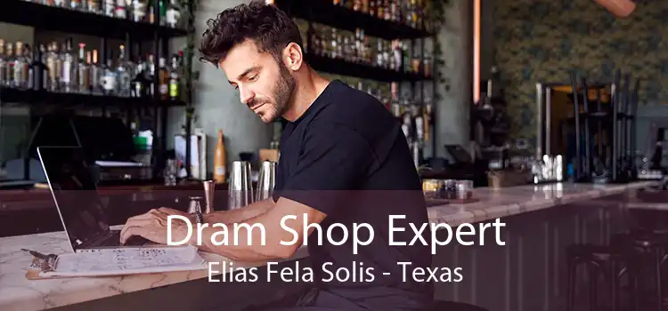 Dram Shop Expert Elias Fela Solis - Texas