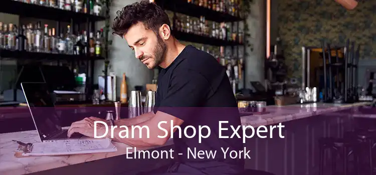 Dram Shop Expert Elmont - New York