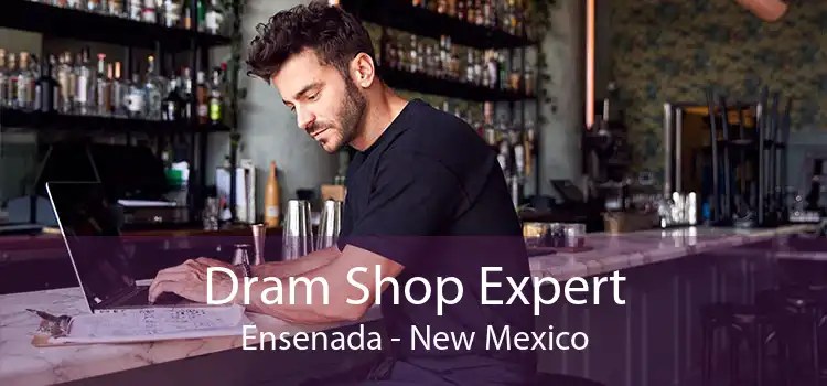 Dram Shop Expert Ensenada - New Mexico