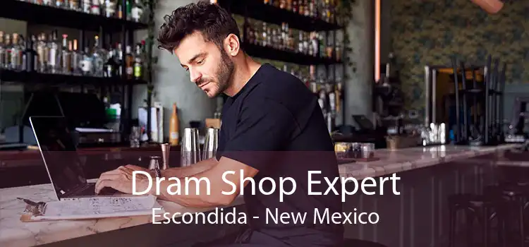 Dram Shop Expert Escondida - New Mexico