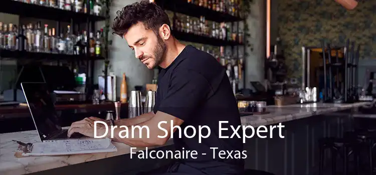Dram Shop Expert Falconaire - Texas