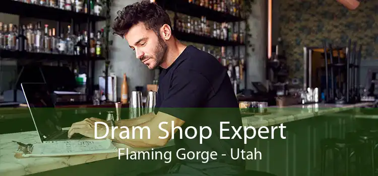 Dram Shop Expert Flaming Gorge - Utah