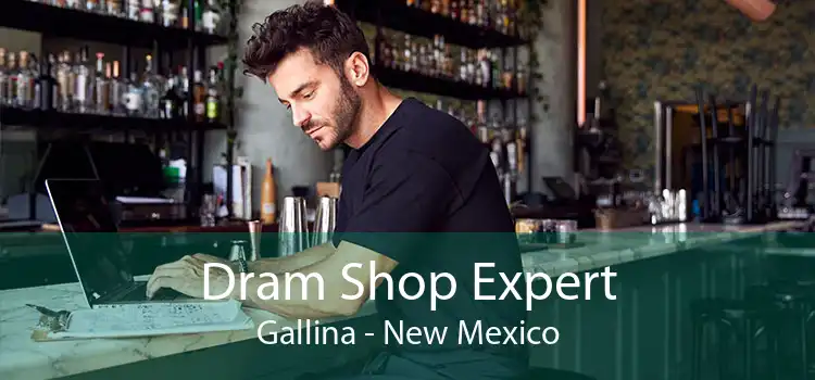 Dram Shop Expert Gallina - New Mexico