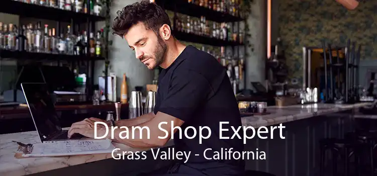 Dram Shop Expert Grass Valley - California