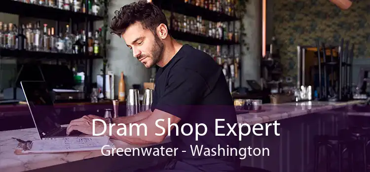 Dram Shop Expert Greenwater - Washington