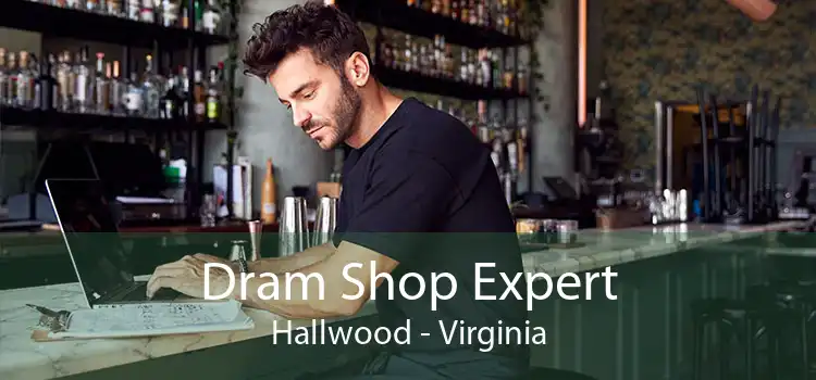Dram Shop Expert Hallwood - Virginia