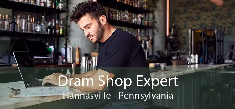 Dram Shop Expert Hannasville - Pennsylvania
