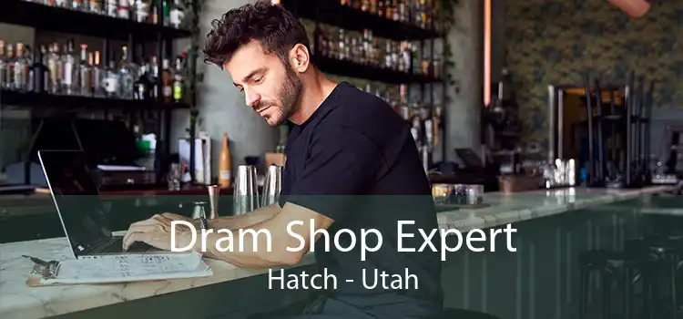 Dram Shop Expert Hatch - Utah