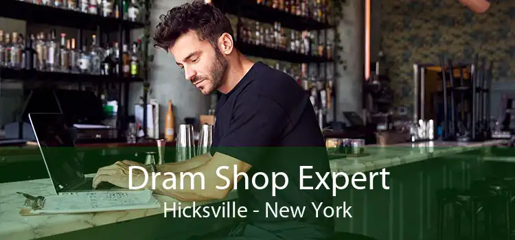 Dram Shop Expert Hicksville - New York