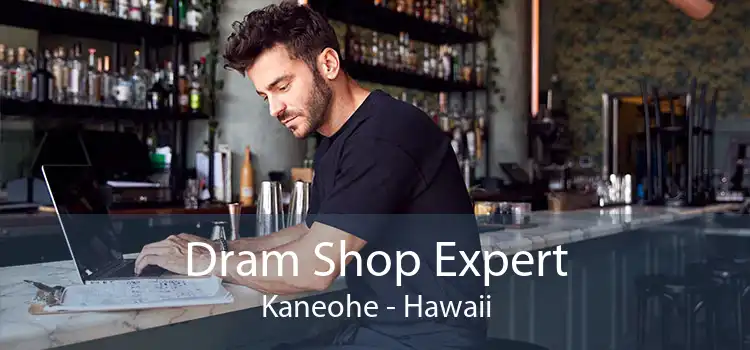 Dram Shop Expert Kaneohe - Hawaii