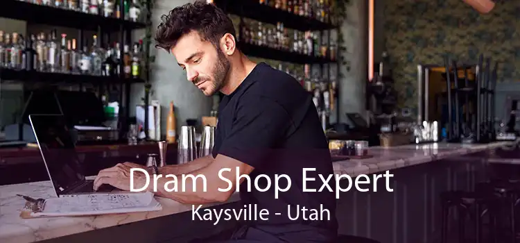 Dram Shop Expert Kaysville - Utah