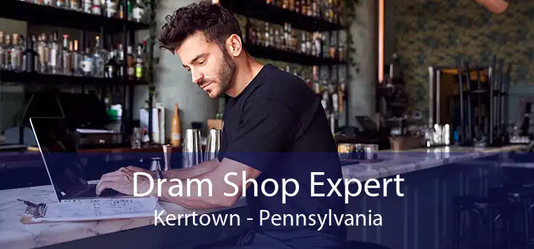 Dram Shop Expert Kerrtown - Pennsylvania