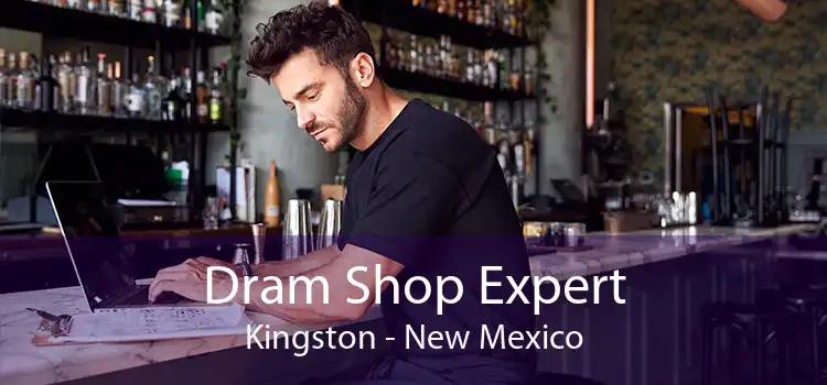 Dram Shop Expert Kingston - New Mexico
