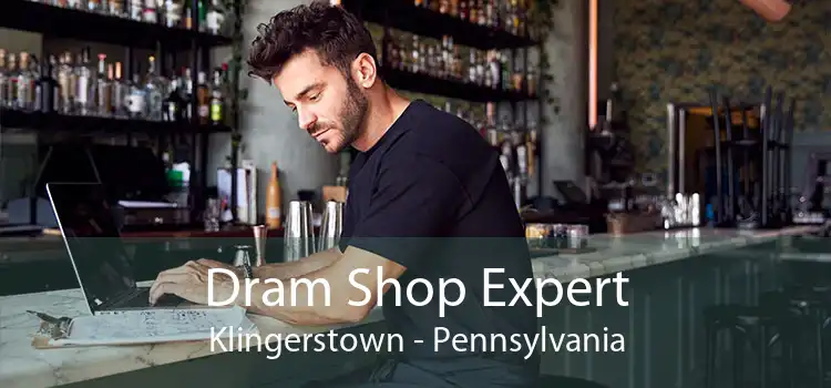 Dram Shop Expert Klingerstown - Pennsylvania
