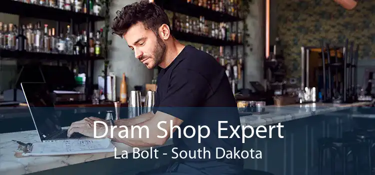 Dram Shop Expert La Bolt - South Dakota