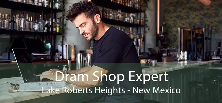 Dram Shop Expert Lake Roberts Heights - New Mexico