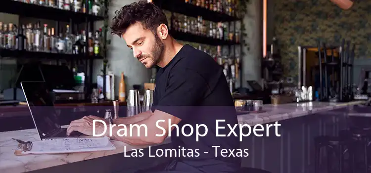 Dram Shop Expert Las Lomitas - Texas