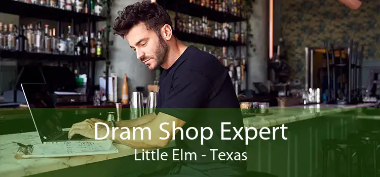 Dram Shop Expert Little Elm - Texas