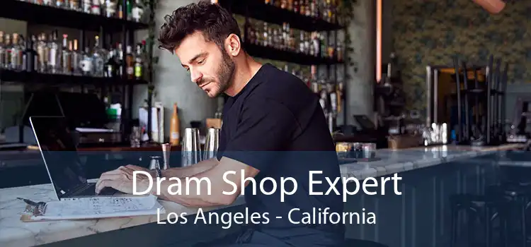 Dram Shop Expert Los Angeles - California