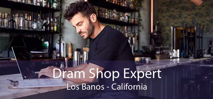 Dram Shop Expert Los Banos - California