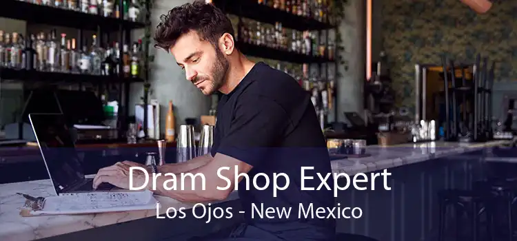 Dram Shop Expert Los Ojos - New Mexico