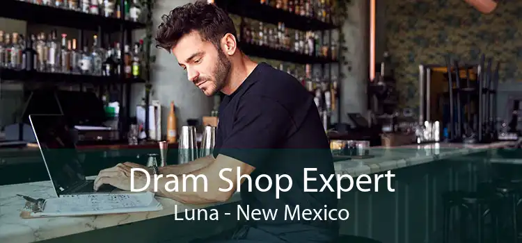 Dram Shop Expert Luna - New Mexico