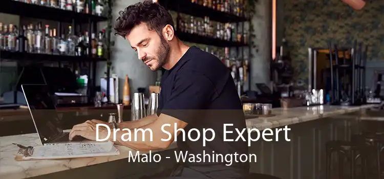 Dram Shop Expert Malo - Washington