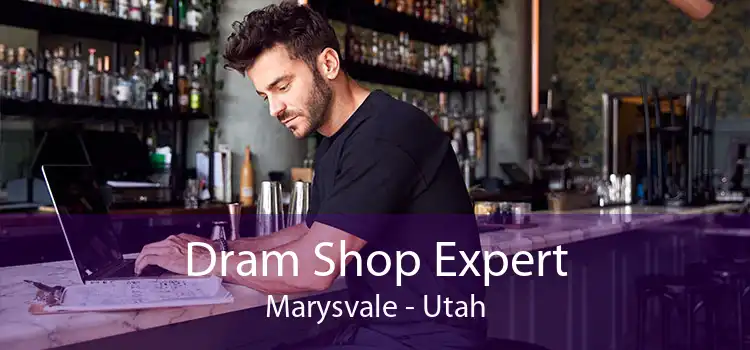Dram Shop Expert Marysvale - Utah