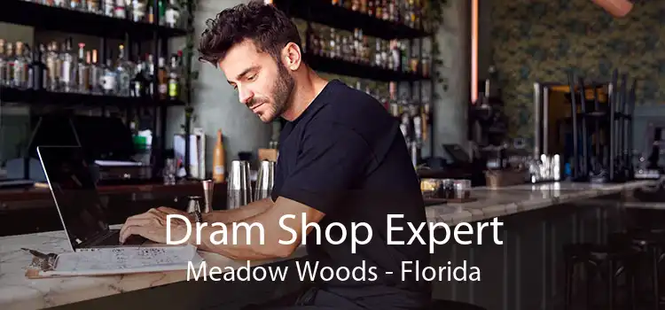 Dram Shop Expert Meadow Woods - Florida
