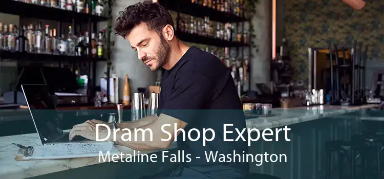 Dram Shop Expert Metaline Falls - Washington