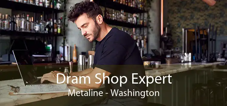 Dram Shop Expert Metaline - Washington
