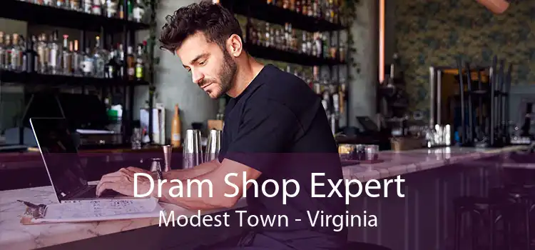 Dram Shop Expert Modest Town - Virginia