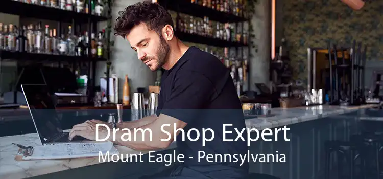 Dram Shop Expert Mount Eagle - Pennsylvania