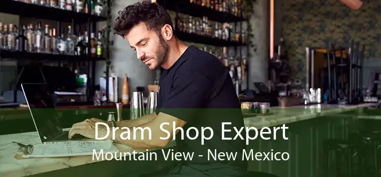 Dram Shop Expert Mountain View - New Mexico