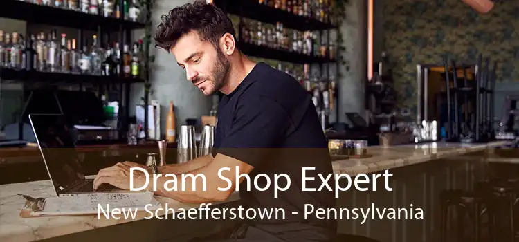 Dram Shop Expert New Schaefferstown - Pennsylvania