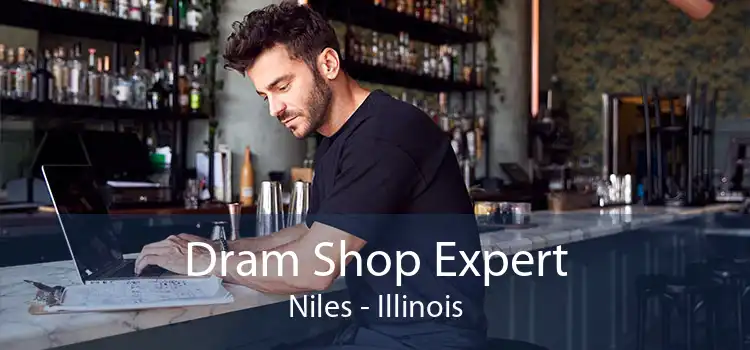Dram Shop Expert Niles - Illinois